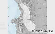 Gray Map of Alto Baudo (Pie de Pato)