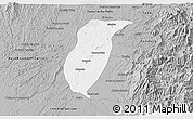 Gray 3D Map of Istmina