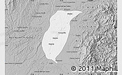 Gray Map of Istmina