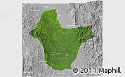 Satellite 3D Map of Quibdo, lighten, desaturated