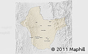 Shaded Relief 3D Map of Quibdo, lighten, desaturated
