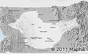 Gray Panoramic Map of Quibdo