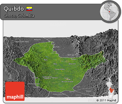 Satellite Panoramic Map of Quibdo, desaturated