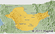 Savanna Style Panoramic Map of Quibdo