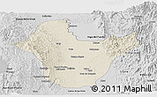Shaded Relief Panoramic Map of Quibdo, desaturated
