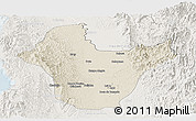 Shaded Relief Panoramic Map of Quibdo, lighten