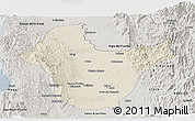 Shaded Relief Panoramic Map of Quibdo, semi-desaturated