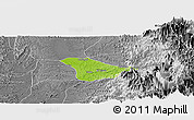 Physical Panoramic Map of Tado, desaturated
