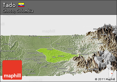 Physical Panoramic Map of Tado, semi-desaturated