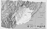 Gray 3D Map of Medina