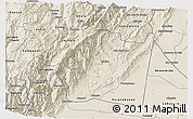 Shaded Relief 3D Map of Medina