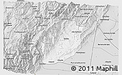 Silver Style 3D Map of Medina