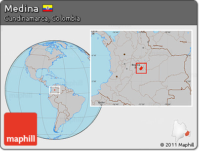 Gray Location Map of Medina