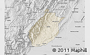 Shaded Relief Map of Medina, desaturated
