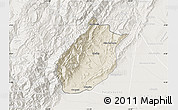 Shaded Relief Map of Medina, lighten