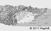 Gray Panoramic Map of Medina