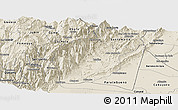Shaded Relief Panoramic Map of Medina