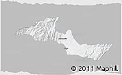 Gray 3D Map of Neiva, single color outside