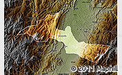 Physical Map of Neiva, darken