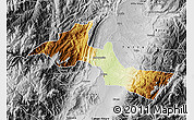 Physical Map of Neiva, desaturated