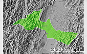 Political Map of Neiva, desaturated