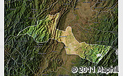 Satellite Map of Neiva, darken