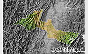 Satellite Map of Neiva, desaturated