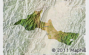 Satellite Map of Neiva, lighten