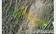 Satellite Map of Neiva, semi-desaturated