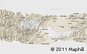 Classic Style Panoramic Map of Neiva