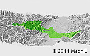 Political Panoramic Map of Neiva, lighten, desaturated