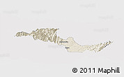 Shaded Relief Panoramic Map of Neiva, cropped outside