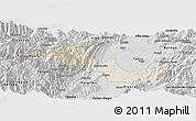 Shaded Relief Panoramic Map of Neiva, desaturated