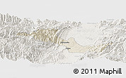 Shaded Relief Panoramic Map of Neiva, lighten