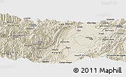 Shaded Relief Panoramic Map of Neiva