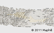 Shaded Relief Panoramic Map of Neiva, semi-desaturated