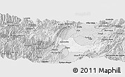 Silver Style Panoramic Map of Neiva