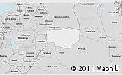 Silver Style 3D Map of Remolino