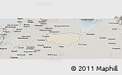 Shaded Relief Panoramic Map of Remolino, semi-desaturated