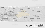 Shaded Relief Panoramic Map of Tenerife, desaturated