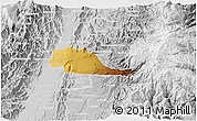 Physical 3D Map of Pereira, lighten, desaturated