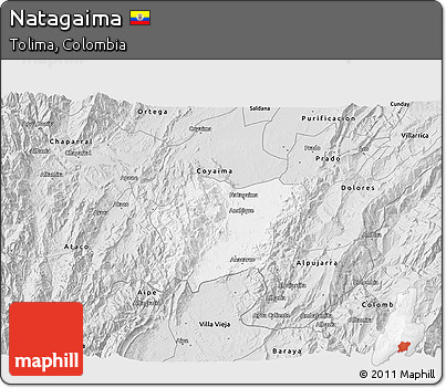 Silver Style 3D Map of Natagaima