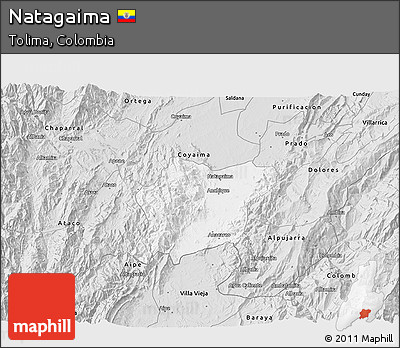 Silver Style 3D Map of Natagaima