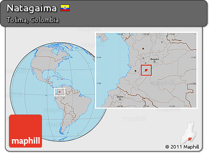 Gray Location Map of Natagaima