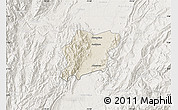 Shaded Relief Map of Natagaima, lighten