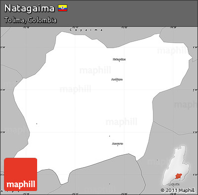Gray Simple Map of Natagaima