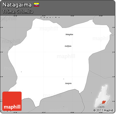 Gray Simple Map of Natagaima