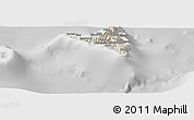 Shaded Relief Panoramic Map of Nzwani, lighten, desaturated