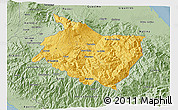 Savanna Style 3D Map of Cartago