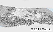 Gray Panoramic Map of Cartago